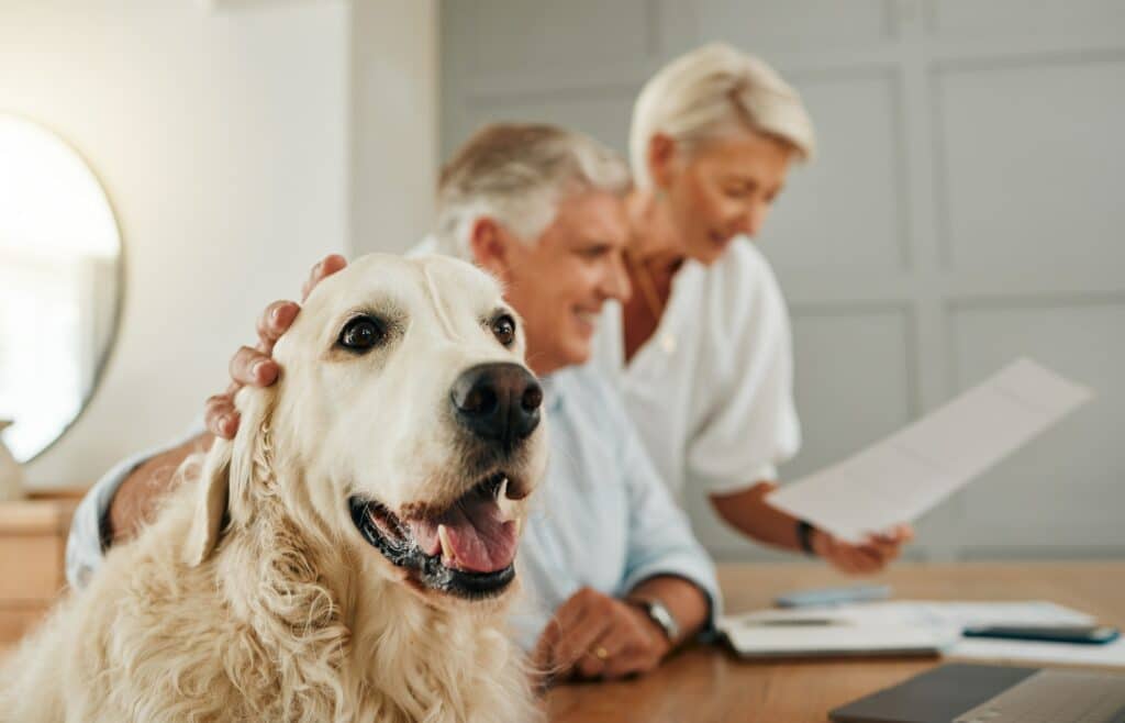 Senior, elderly couple and dog pet of people in a home looking at contracts and documents. Happines